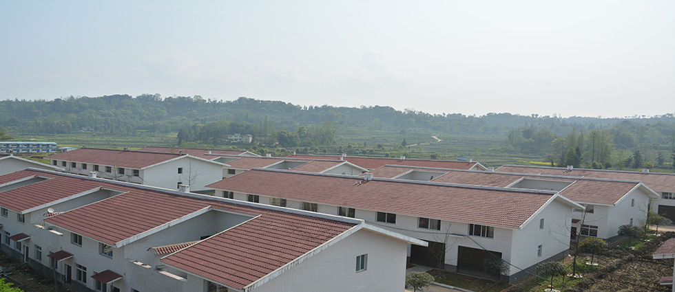 Űǅ^ϽδλڇҼrI@^~ą^aؕP\ z