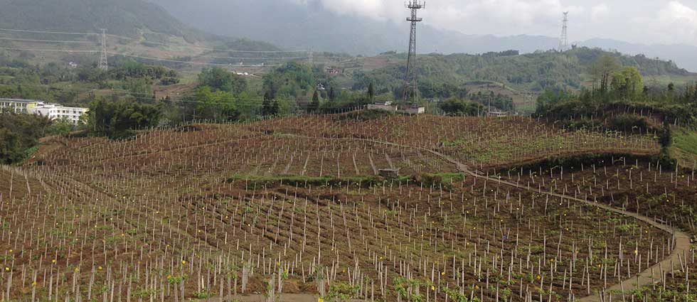 4?20gȫhrdԴJҮaIܵ؄ͨ^һĞĺؽ߳һl협Blչ협ЈrIaIlչ·