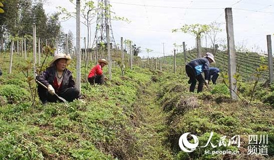 ٿJɽŰȫh4.20Jɽҵ^֮һ