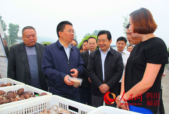 w£³B C °lչ
³BǿɳmlչĳBDʽ{YĳBǾGɫlչĳBǸҕĳBȫġ