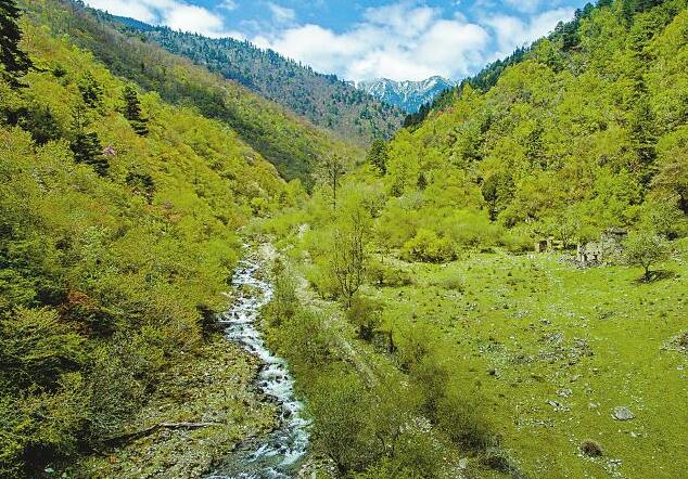 ķľĴ@׌ɭ֚w1998ĄڄӹָʾĴȆȻֱoԇc챣̌ʩ21oĴֻɭYԴĸˮʧĜpˮԴBҪͨ^̵Čʩ҂_ĸHӵһˮ_ȫBȫ