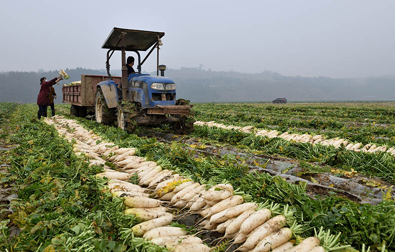 2020226ϳм^rړr_y z