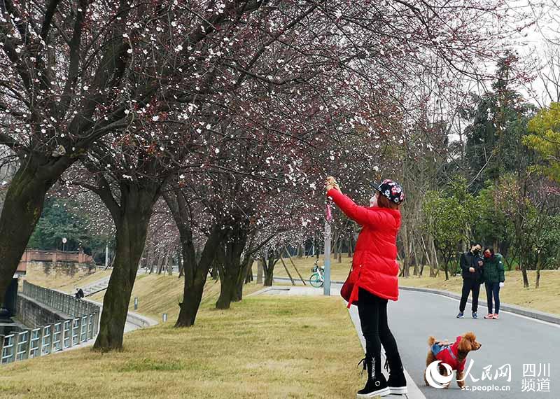 2020221ɶĳ@Ļ_UA z