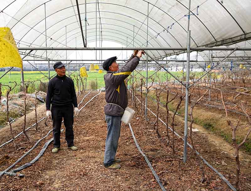 2020221ɶдؿhnш@ĴѼaʂФ z