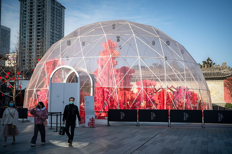 2020228ɶд·T z