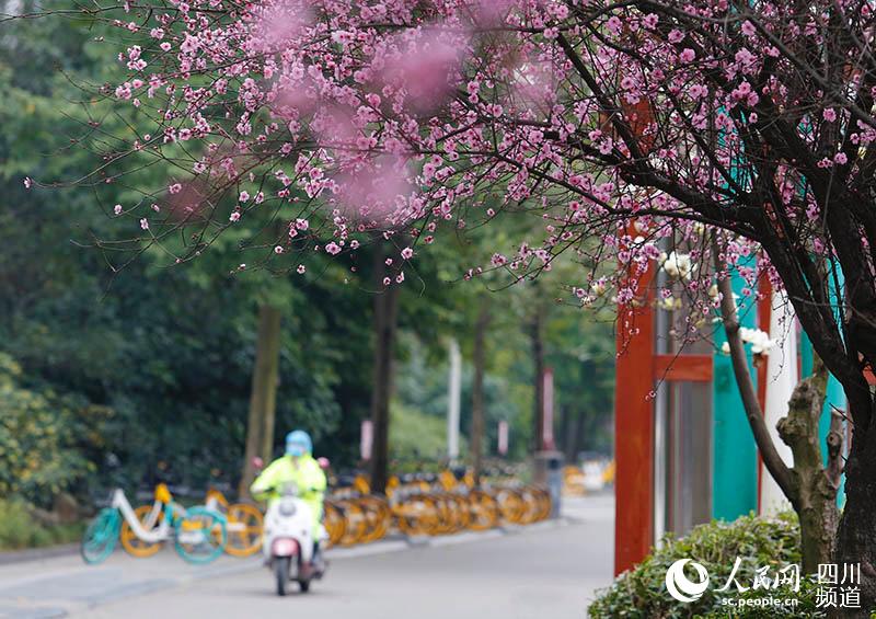 2020213üɽһλobRȫT z