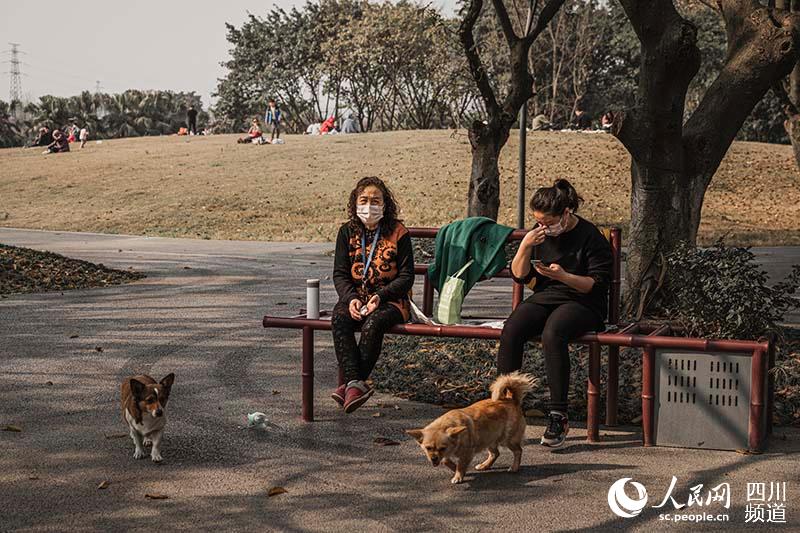 2020224ɶгA^@ z