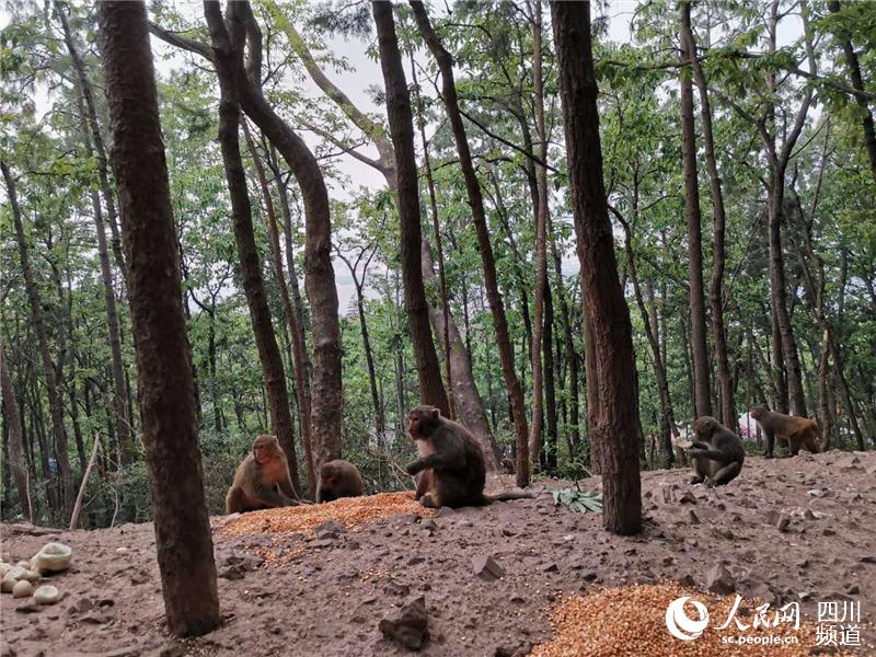 ĴнlɭֻɞoɽȺɽxoɽ̎׃Ͷʳc_ȺȫýwĹD