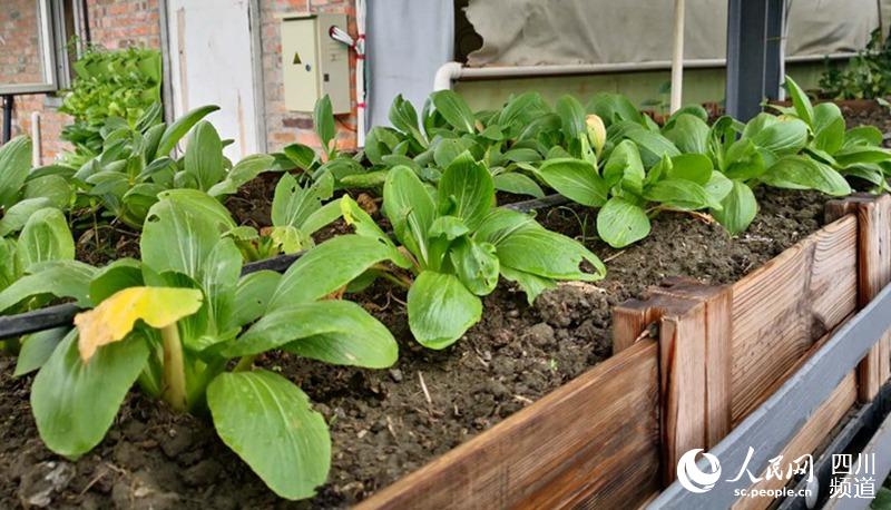 ĴƵrI˾lđBѭhrIϵy׌еĸߘǴBLϹ߲׌~cӼxG D