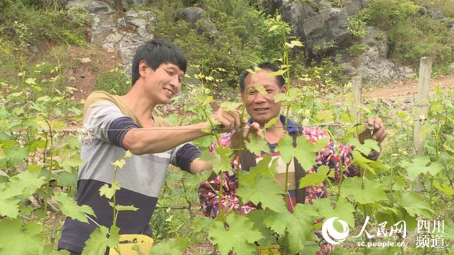 Լш@ؑcɽhýwĹD