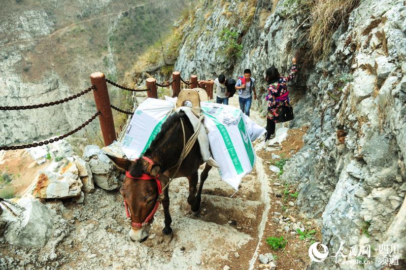 2016boںR׌иȫD