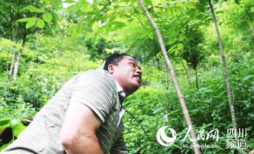 㹲ͬNBILwƷڽBطNֲвˎƷNVWӛ x?z