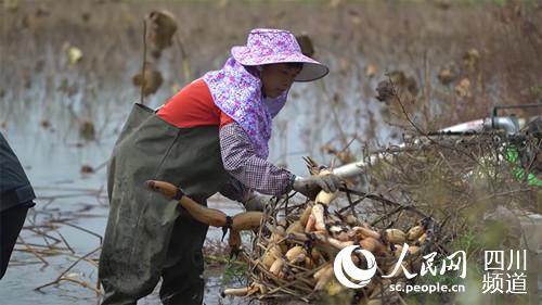 ȪæɏźVWӛ  z