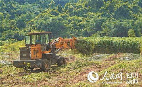 ݿh悷͸ţBBֳBֳg^{CеոVՈӛ ΌW z