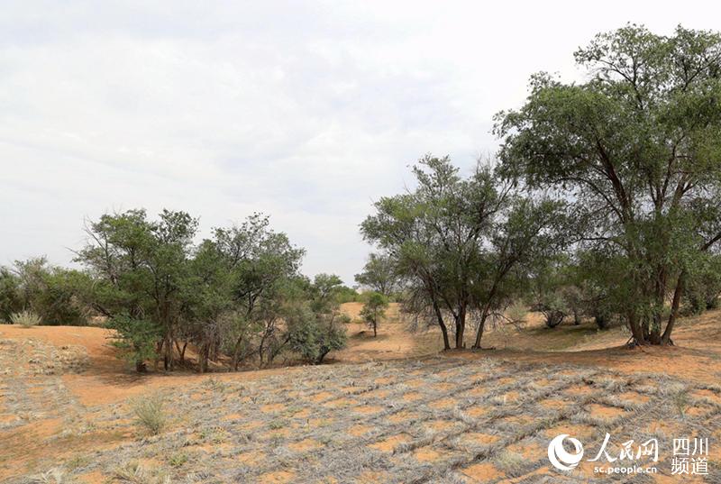 ڰ˲ɳϝhһÉݷһØһѲסɳӷL͡kiסɳ