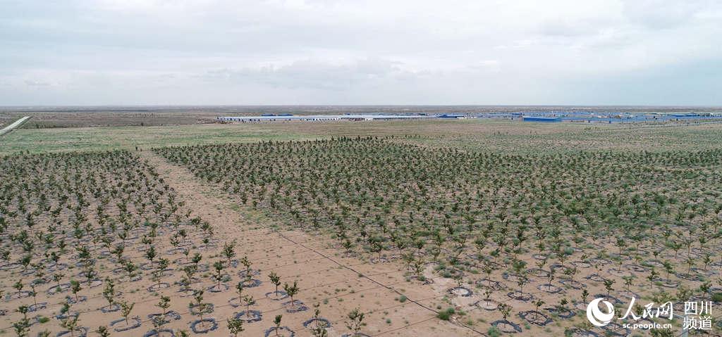 ٮɽ高Nֲأo˙CƬЇCW D