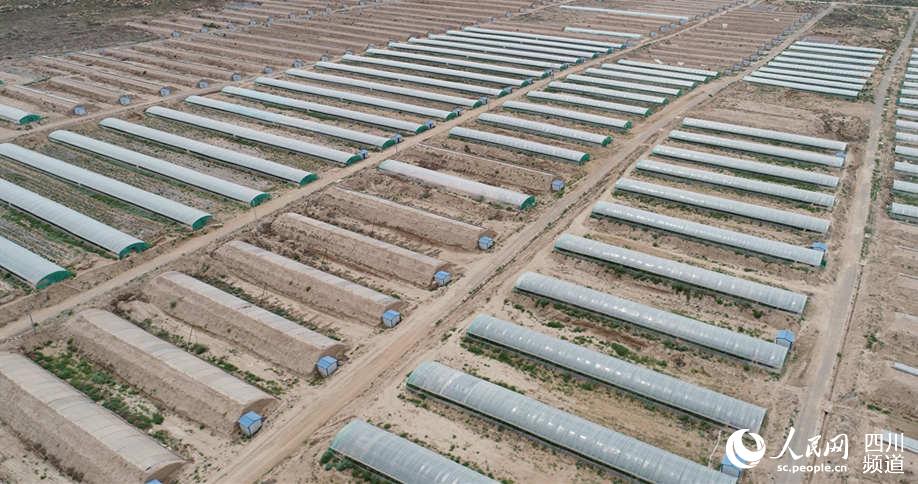 ϸrIʾÿһի@Ĵﶼһµϣo˙CƬЇCW D