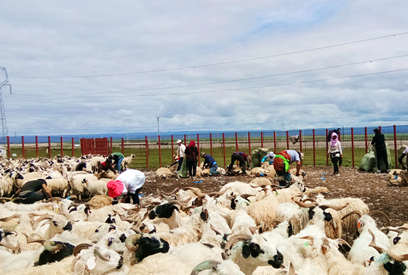 ڼëຣWD