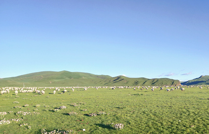 ţȺȻԵһԴຣWD