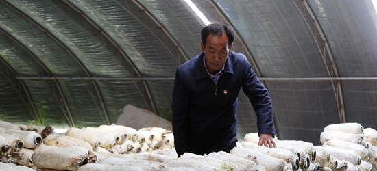 鿴ĢLݵţຣWD