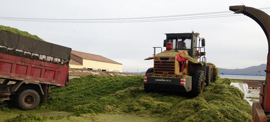 SݮaI_չAຣWD