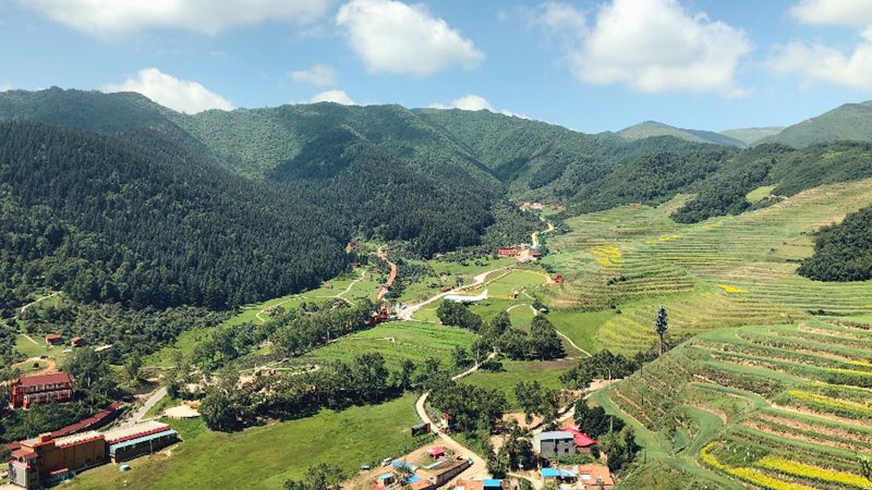 Gˮɽꖵ׃ຣWD