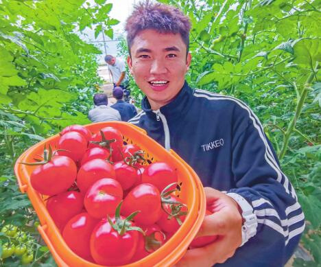 Ҵɫժ׌ο͝MwຣWD