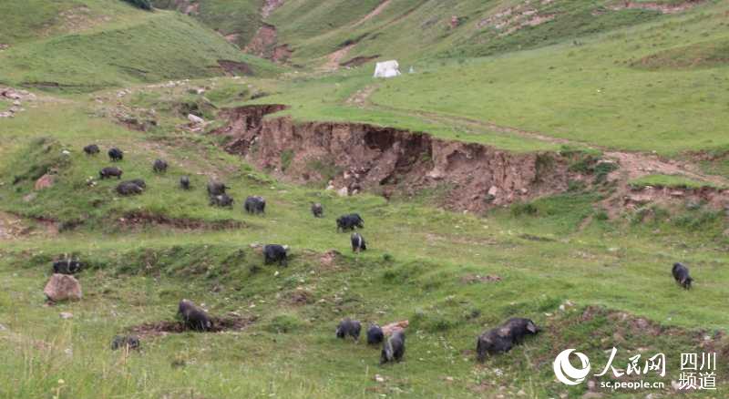 ¡hxҞlӴiuBֳS  ꐿ  z