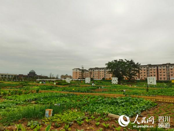 ˈ@H܉o^ṩNĘȤ߀^MӵĻ z