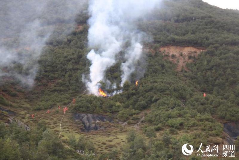 ϿhݾFϿhɭֲԭkD