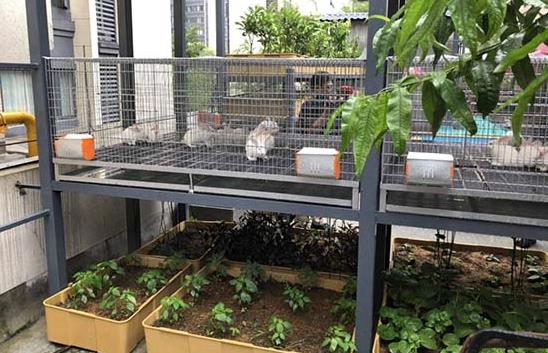 風雨兼程來看“她”