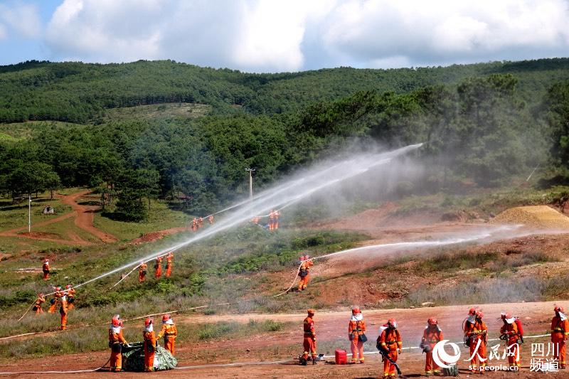 ӱɭֲԭCݾĴʡɭꠛɽ֧꠹D