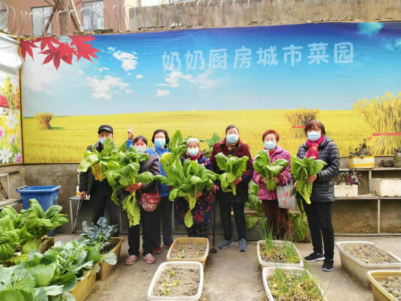 gֵ̏Nˈ@S̂d߲Mвժ־Ը߹D