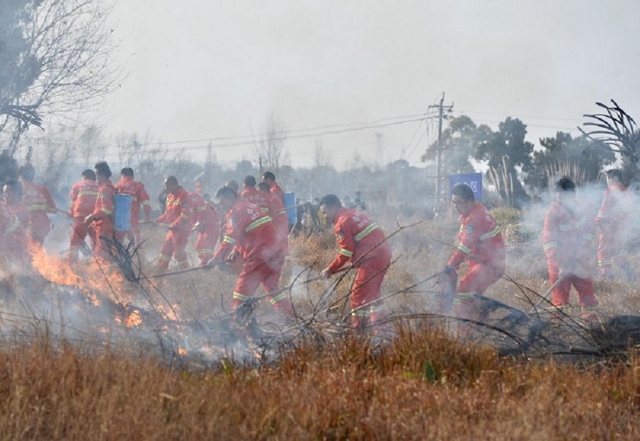 ѸټYݾFİ댣IͶ롰𶷡ɶБֹD