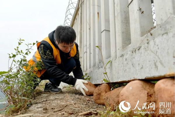 FնF·ؾMЙzyyhz