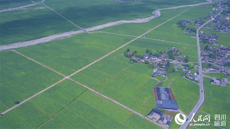 ěɽጎfFrI@^W ӛƽz