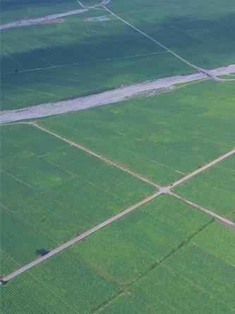 航拍四川涼山萬畝煙草農業園：美麗鄉村綠色畫卷