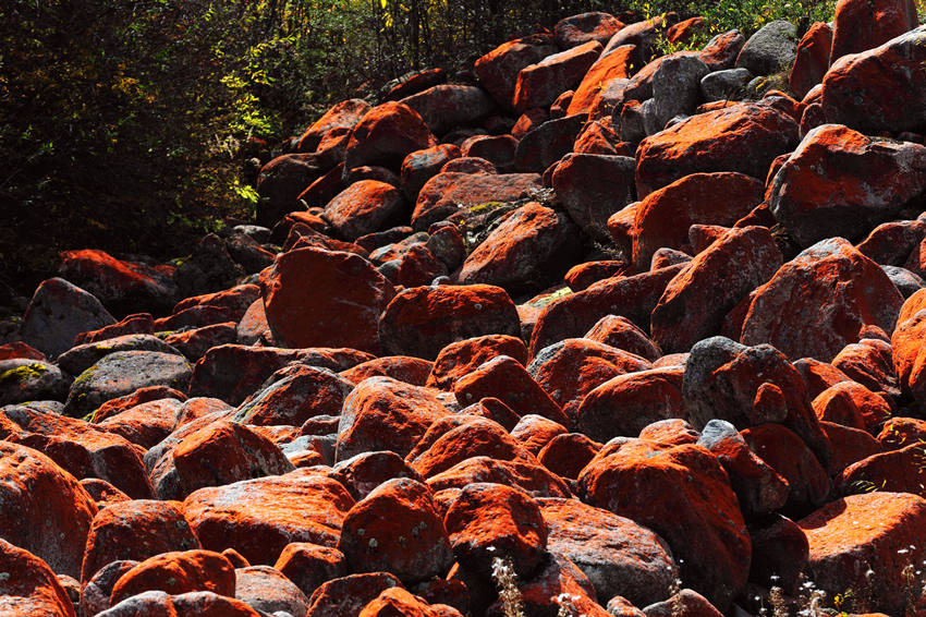 畢棚溝紅石灘。畢棚溝景區供圖