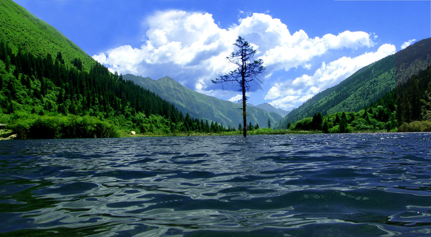 春天的達古湖。達古冰川景區管理局供圖