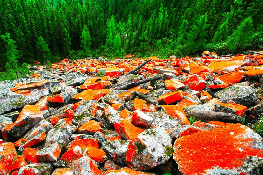 鴻運坡。達古冰川景區管理局供圖