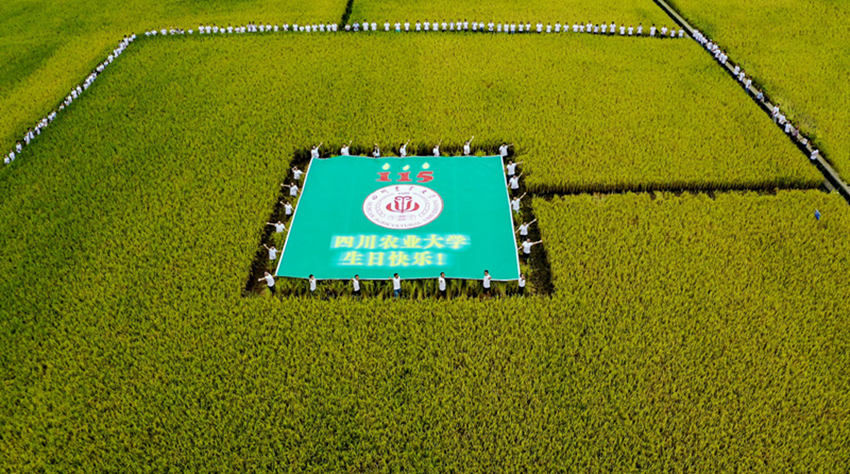 ĴrIWrWԺͬWУc115ףУD