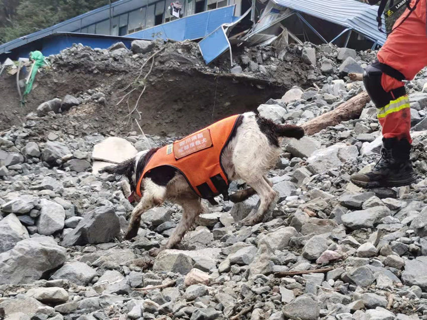 ѾȮڬFѾɶԮ֧꠹D