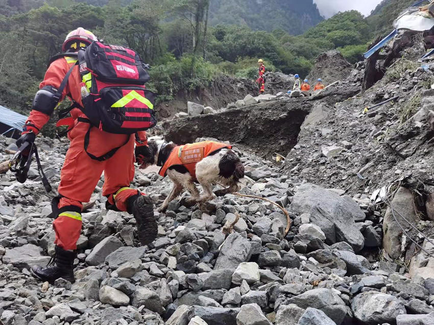 ѾȮڬFѾɶԮ֧꠹D