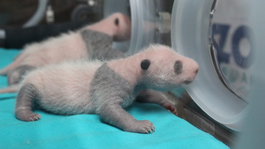 2021Ĵ؈һP̥ɶ؈оعD