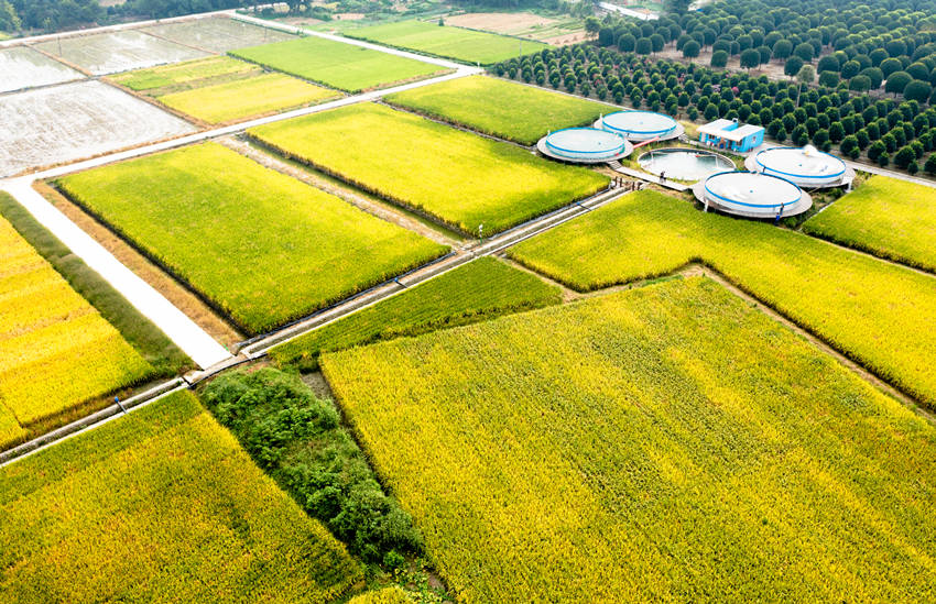 Ԭ¡ƽЈFɵONBõƷNԬ¡ƽsˮƌW@D