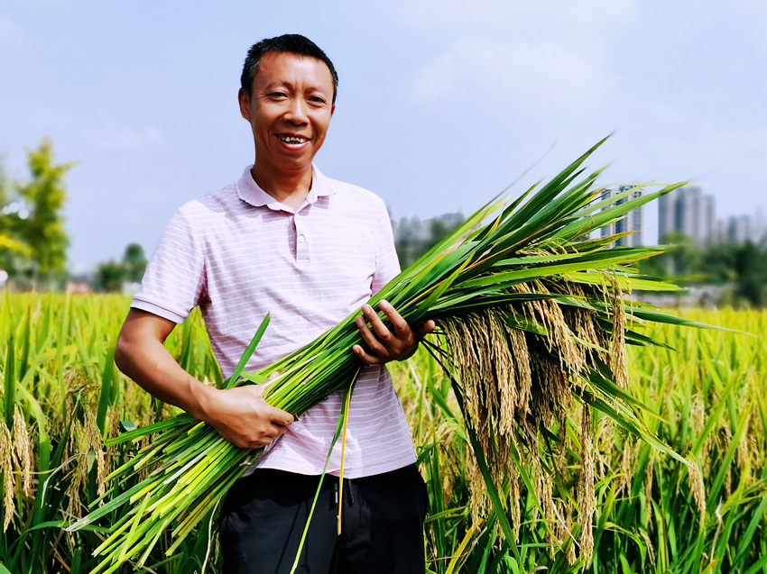 Nؓ؟˿ˮЦݝMԬ¡ƽsˮƌW@D