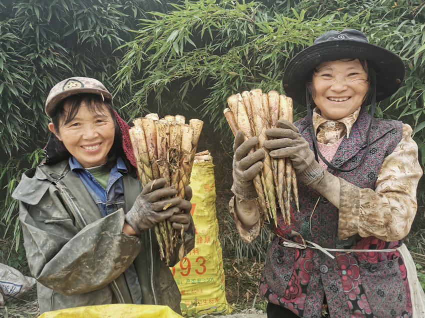 SSSrϲЦ_崨ýwĹD