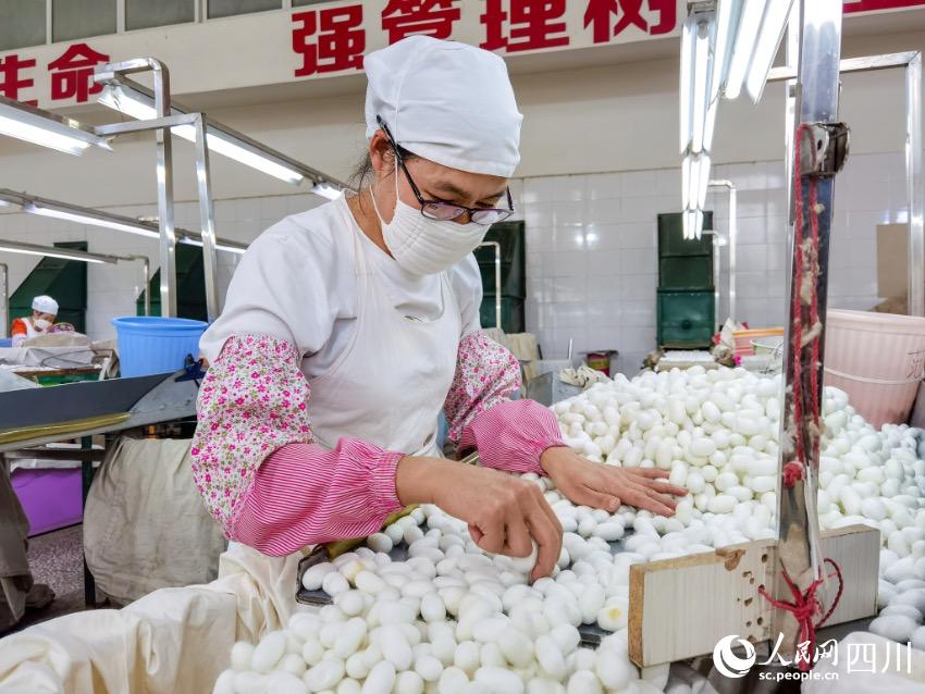 ϿhϽz·OվQO֙zСƽz 