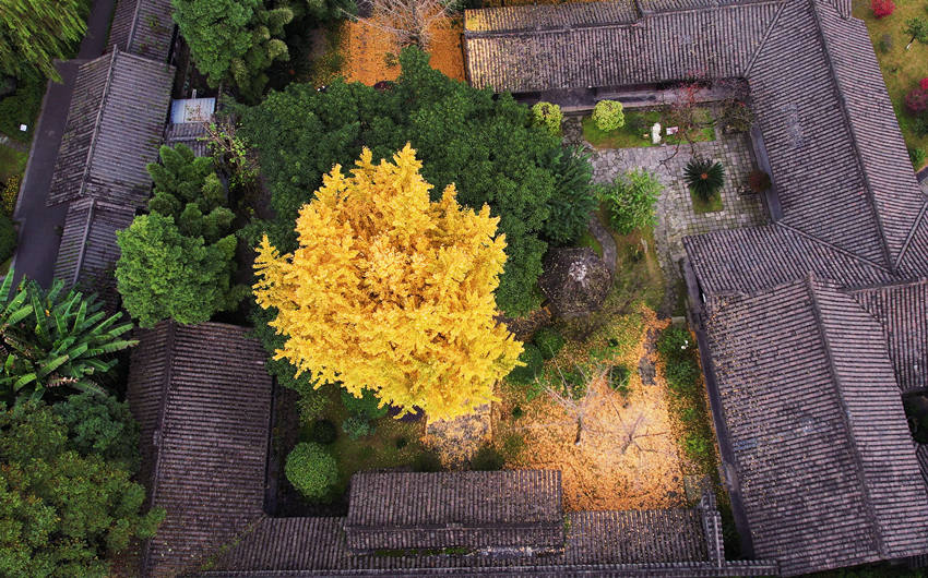 ĭĹʾɽɳ^ýwĹD