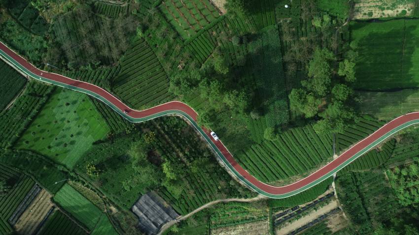 lGĴʡɶѽhɼѽhίD